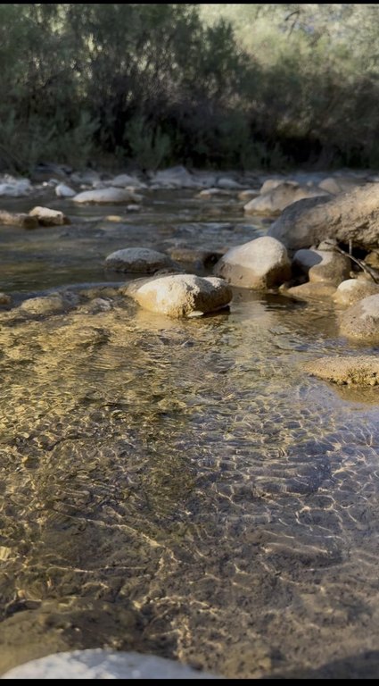 Picture 42