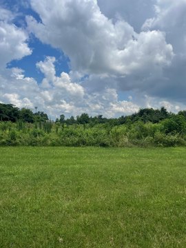 LAND - Paducah, KY