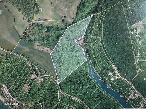 Lots & Acreage, LaFollette, TN