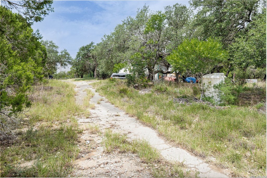 Picture 6