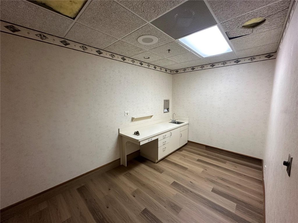 Picture 8