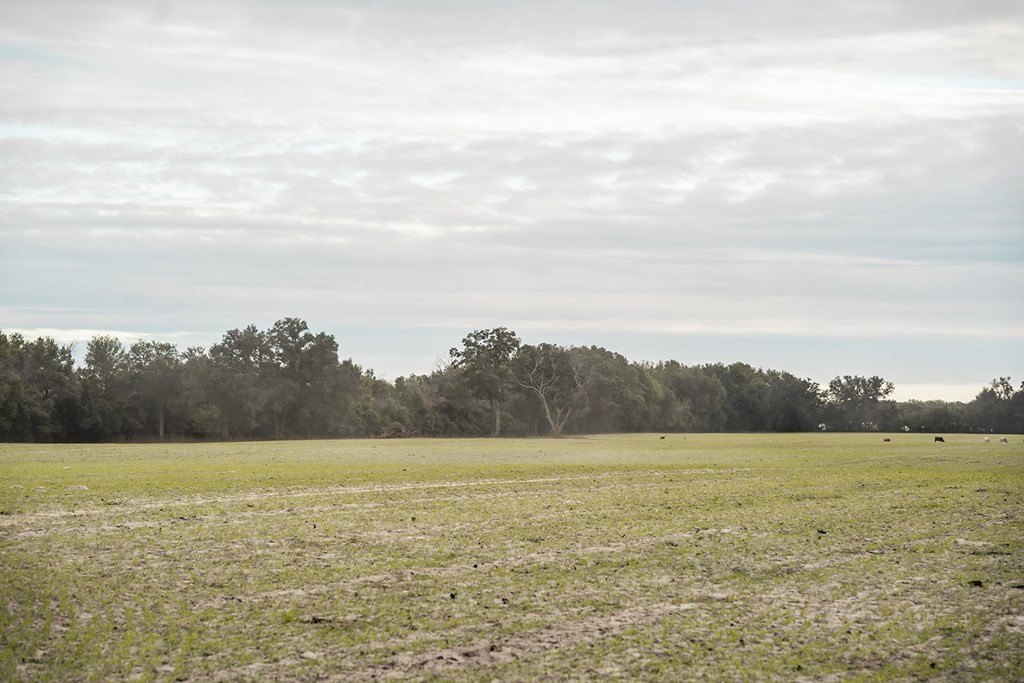 Picture 36