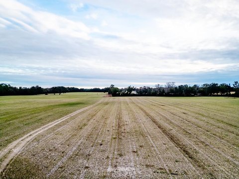 Chiefland, FL 10-Acre Land Parcel