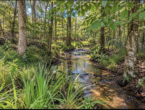 Land, Baker, FL