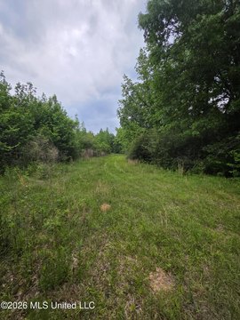 Land, Brookhaven, MS