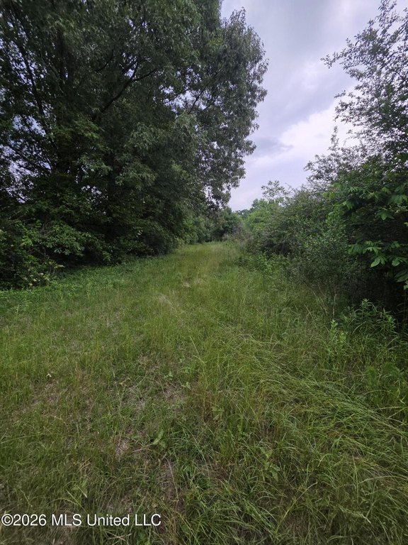 Picture 3