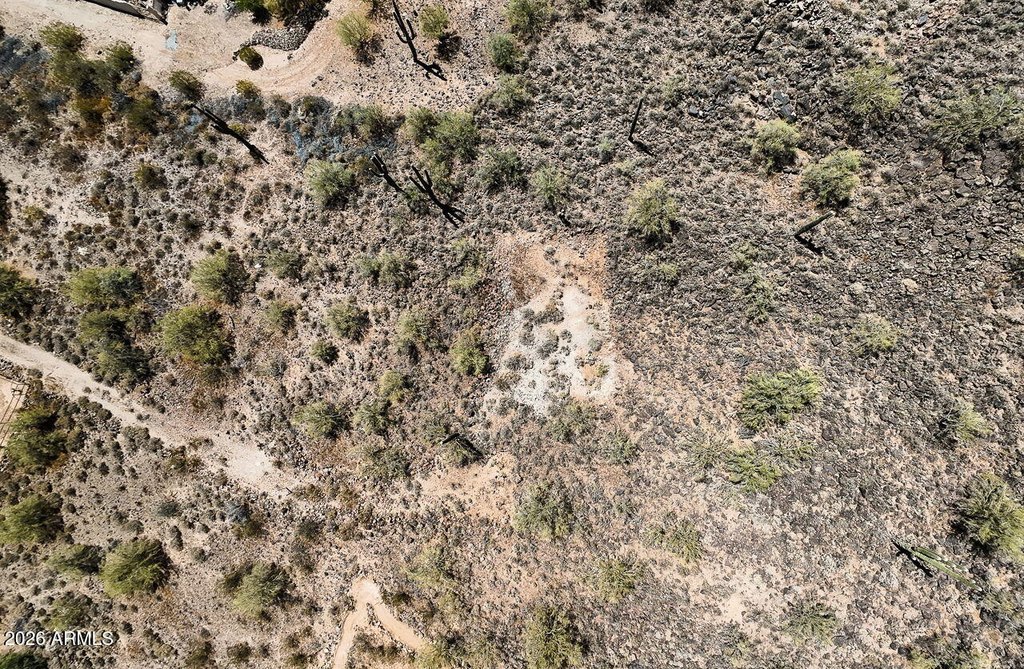 Picture 39
