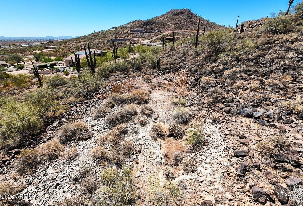 Picture 43