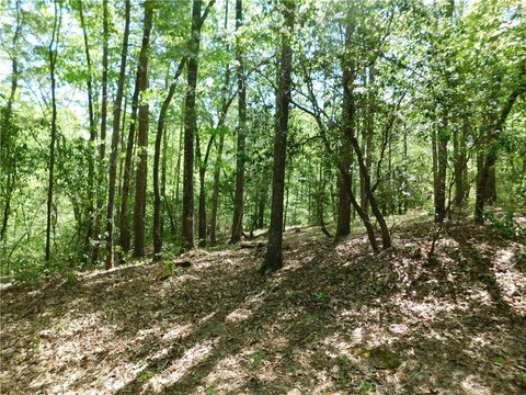 Private Wooded Lot in Salem