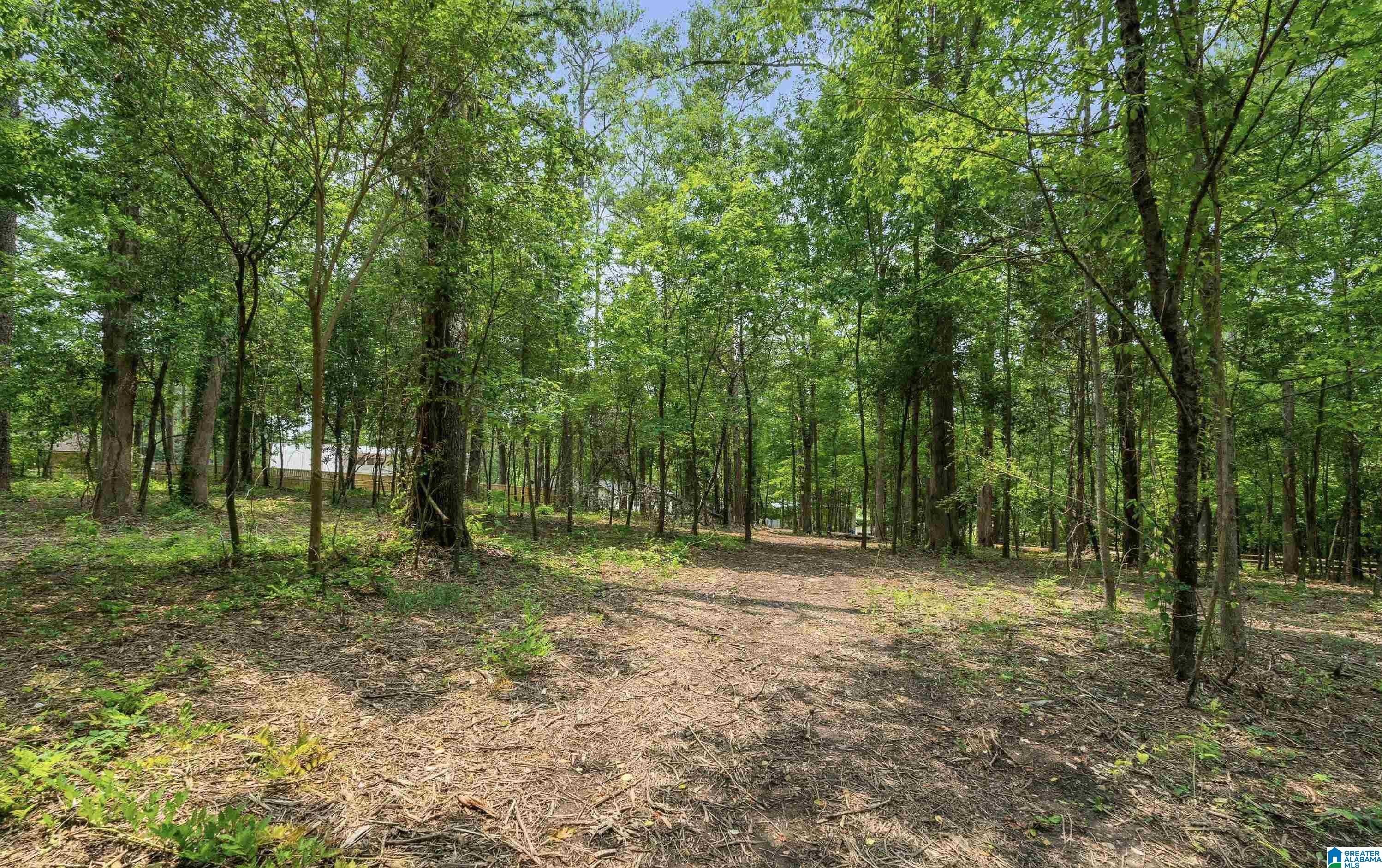 Prime Hoover Acreage Opportunity