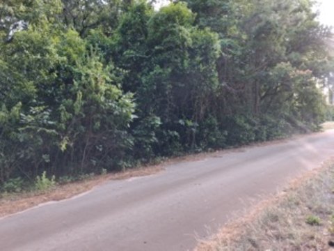 LAND - Murchison, TX