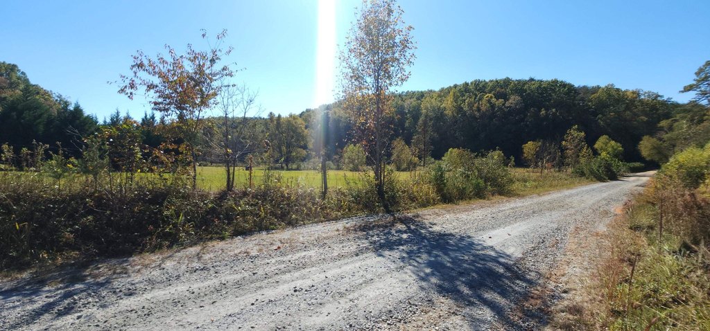 Picture 14