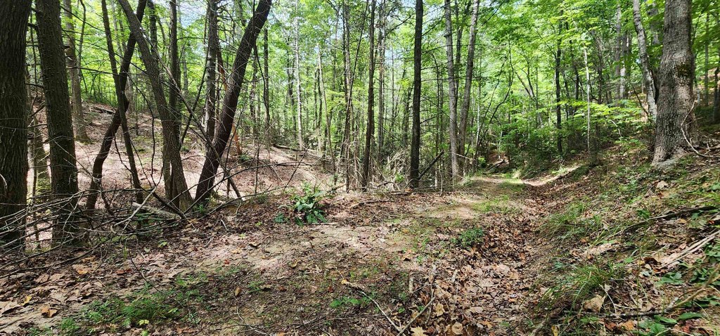 Picture 12