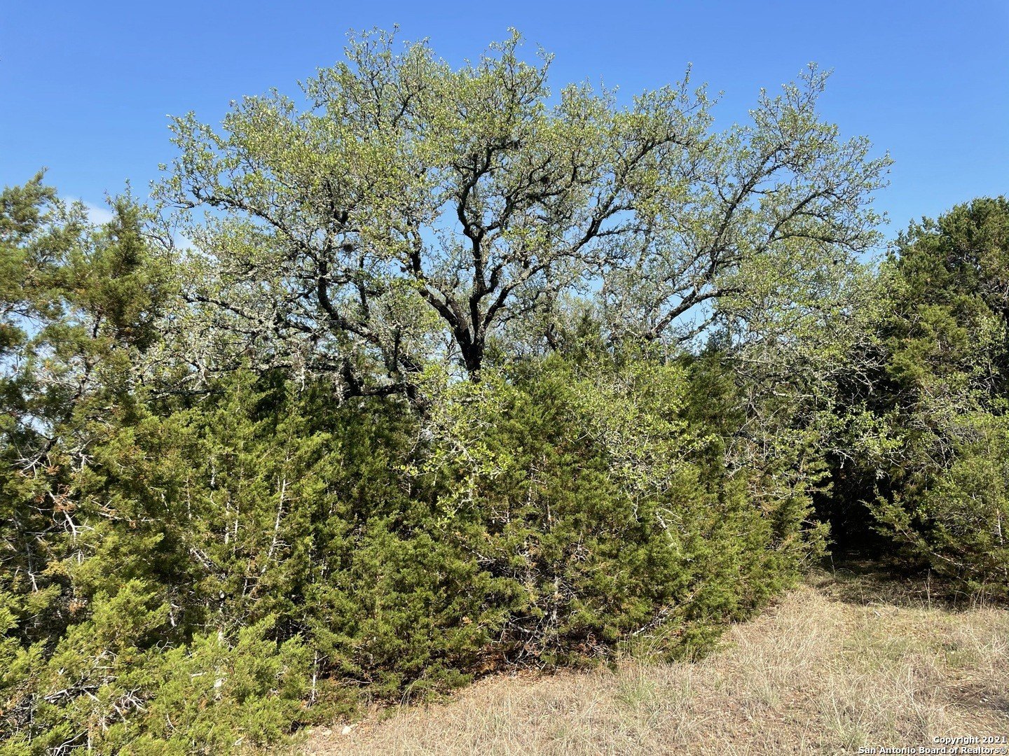 Residential Land in Stallion Springs