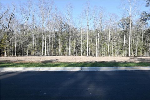 AUBURN AL Estate Lot