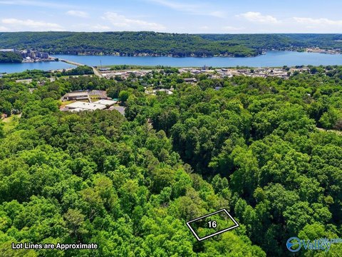 Land, Guntersville, AL