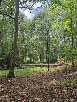 Ringgold Land in Heritage District