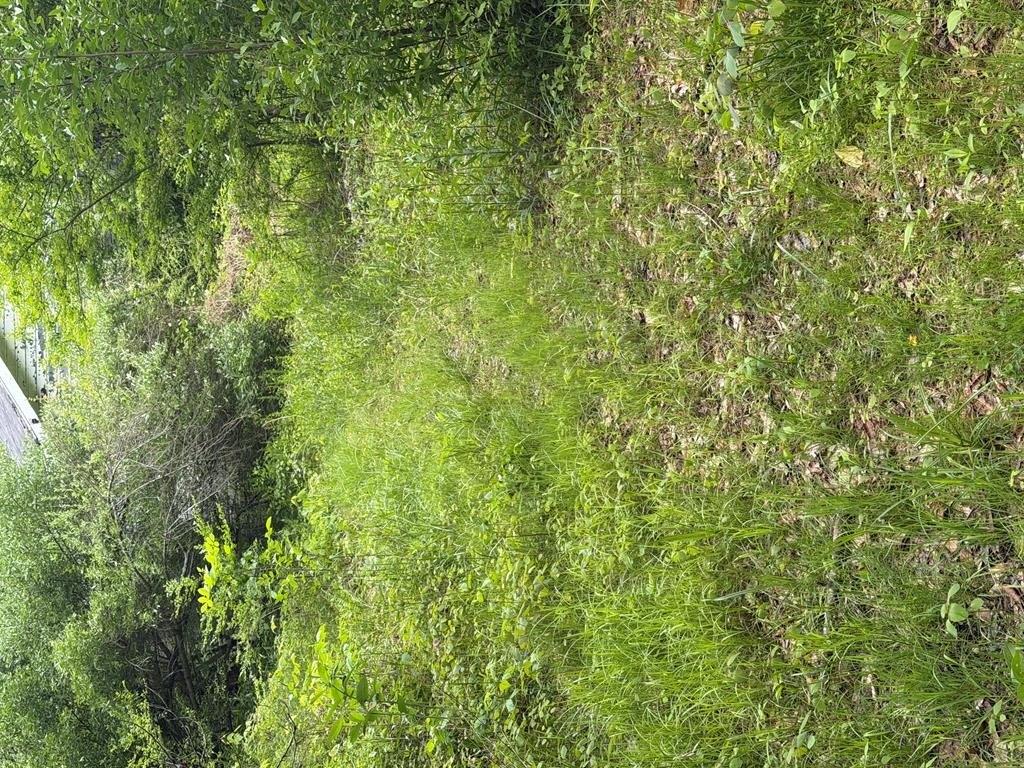Picture 31