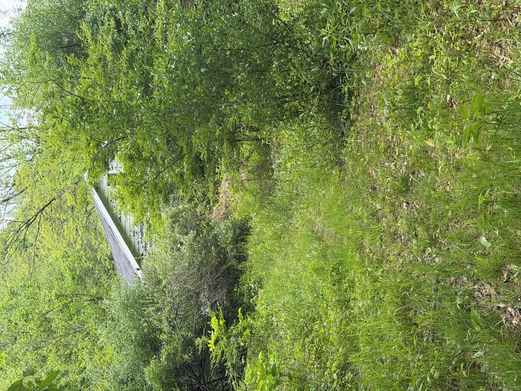 Picture 30