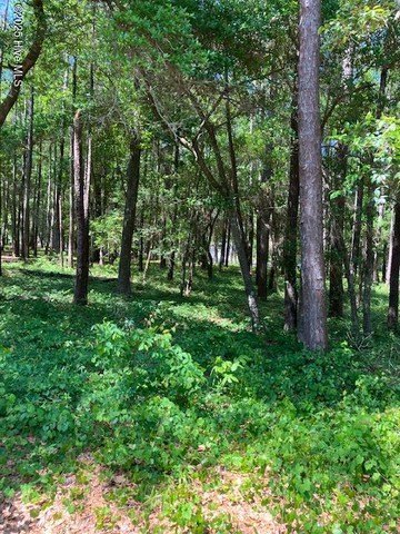 Residential Lot in Gated Community