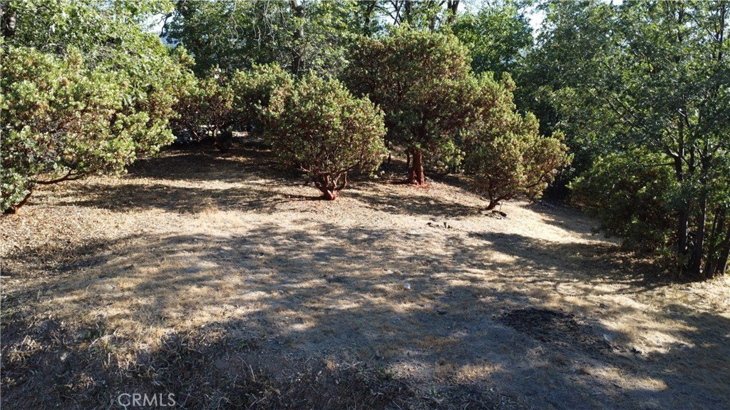 Picture 11