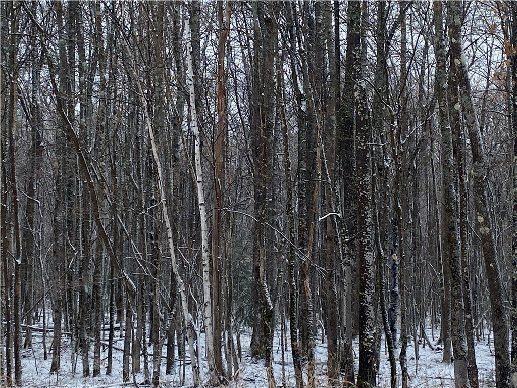 Herbster, WI 80-Acre Land