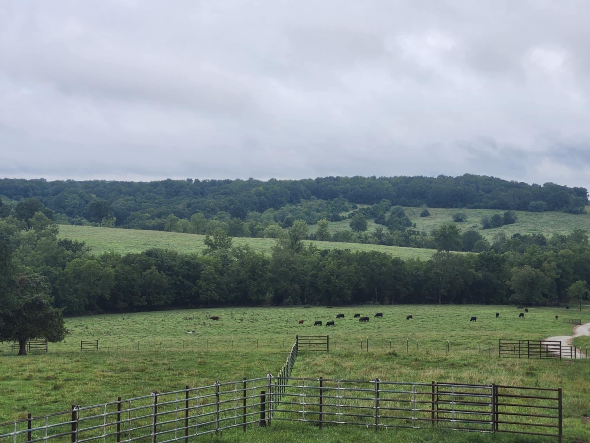 Productive Pastureland in Wright County
