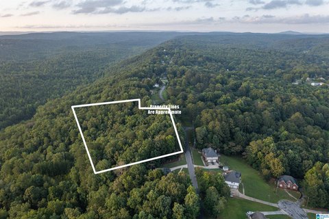 LAND - ODENVILLE, AL
