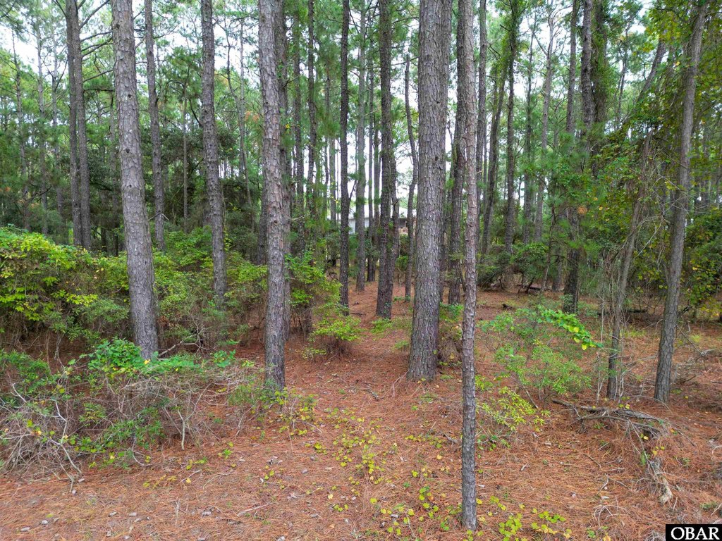 Picture 8
