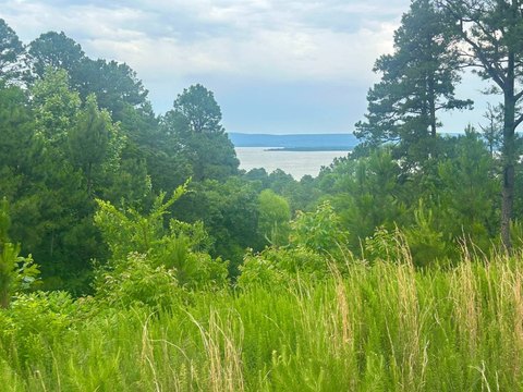 Waterfront Recreational Land Parcel