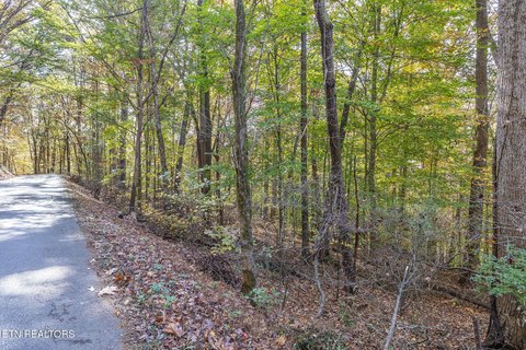Residential Lot in Hardin Valley