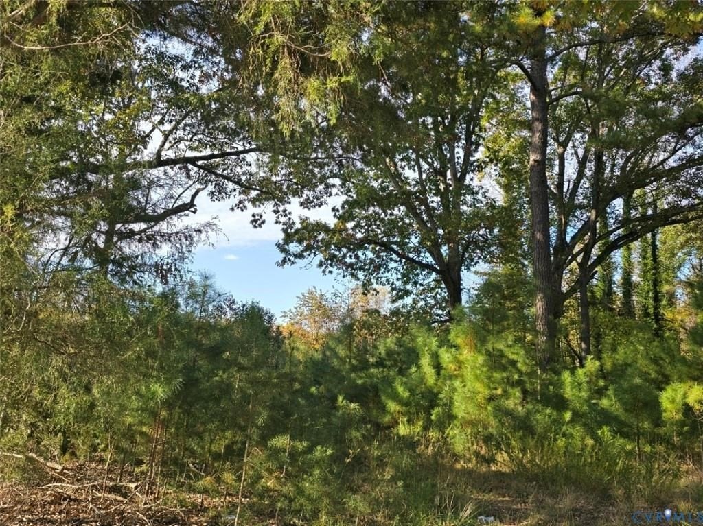 Picture 2