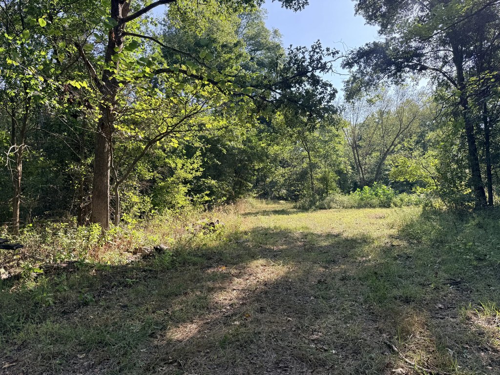 Picture 17