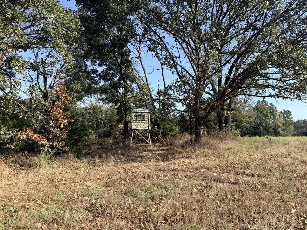 Picture 24