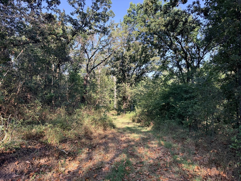 Picture 23