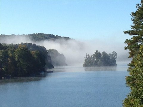 Wooded Lot in Gated Community