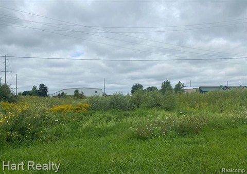 Prime Commercial Land on M-53