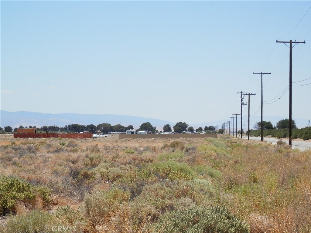 Picture 5