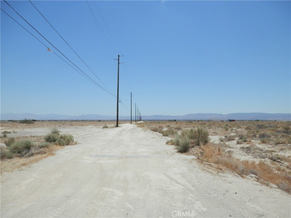 Picture 15