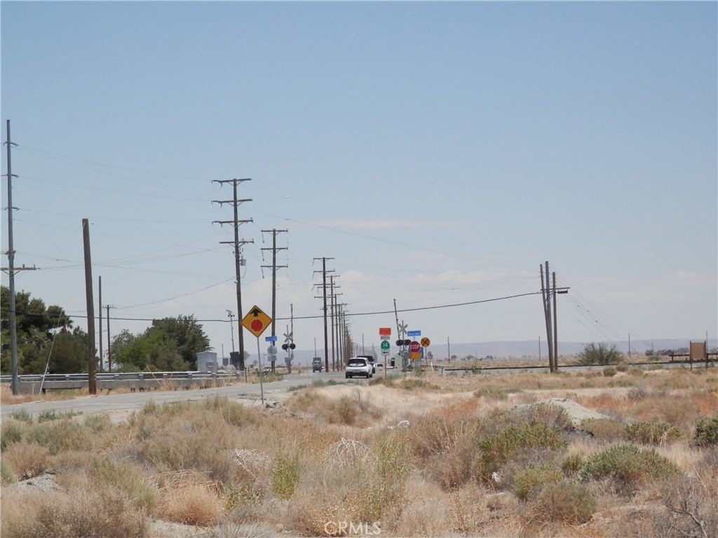 Picture 6