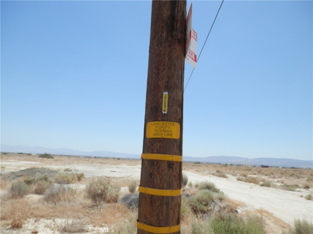 Picture 14