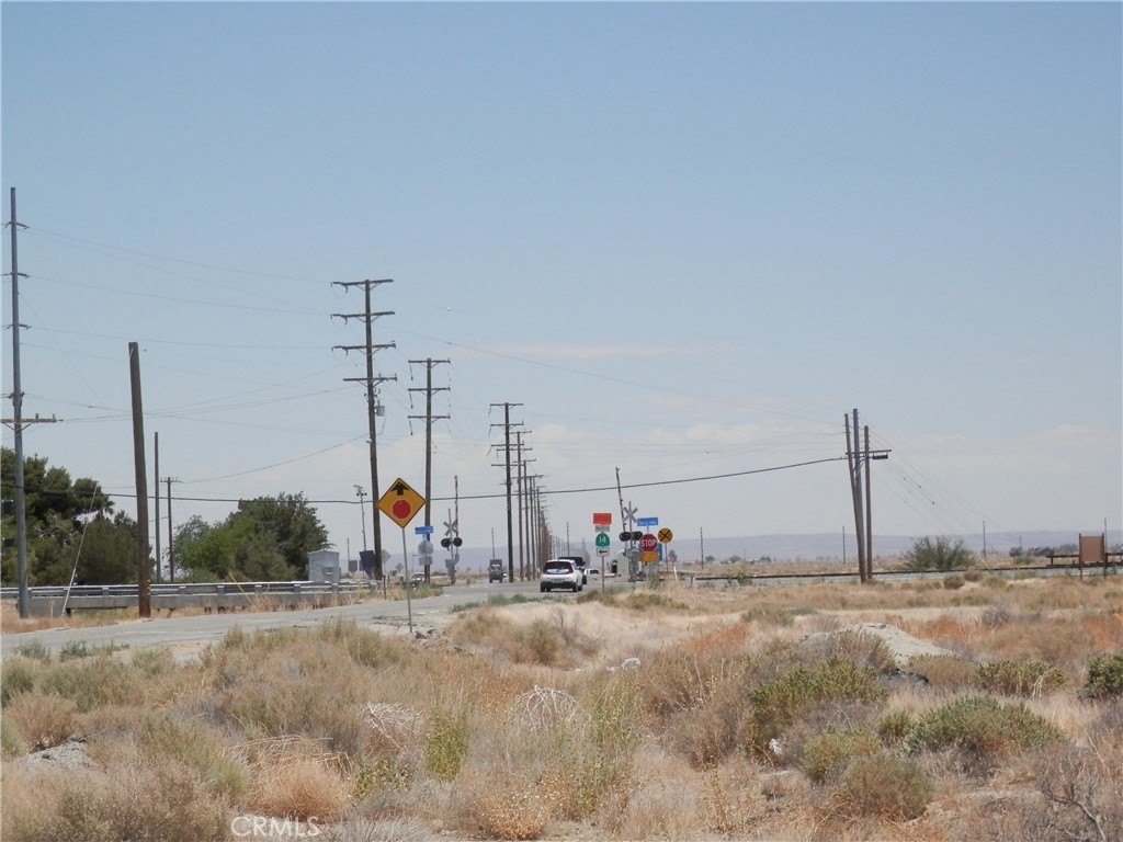 Picture 6