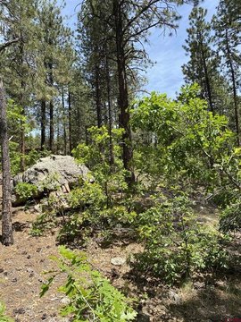 Land For Sale, Durango, CO