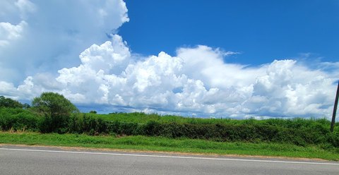 LAND - Westville, FL