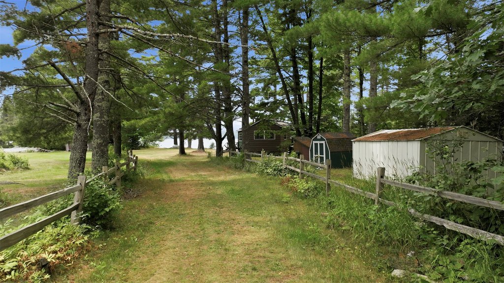 Picture 36