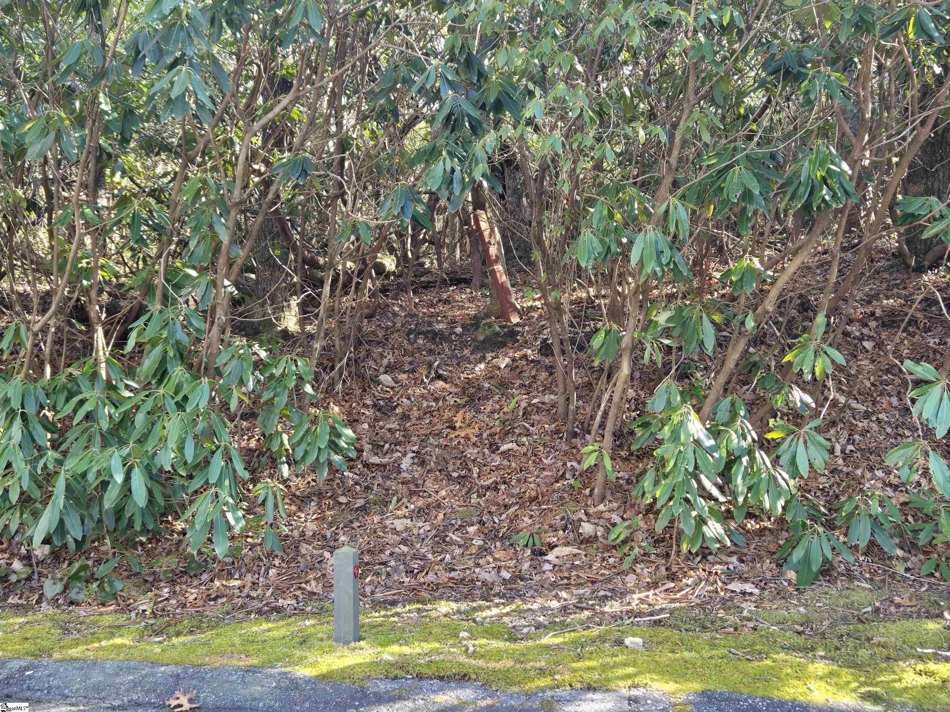 Cliff Ridge Colony Building Lot