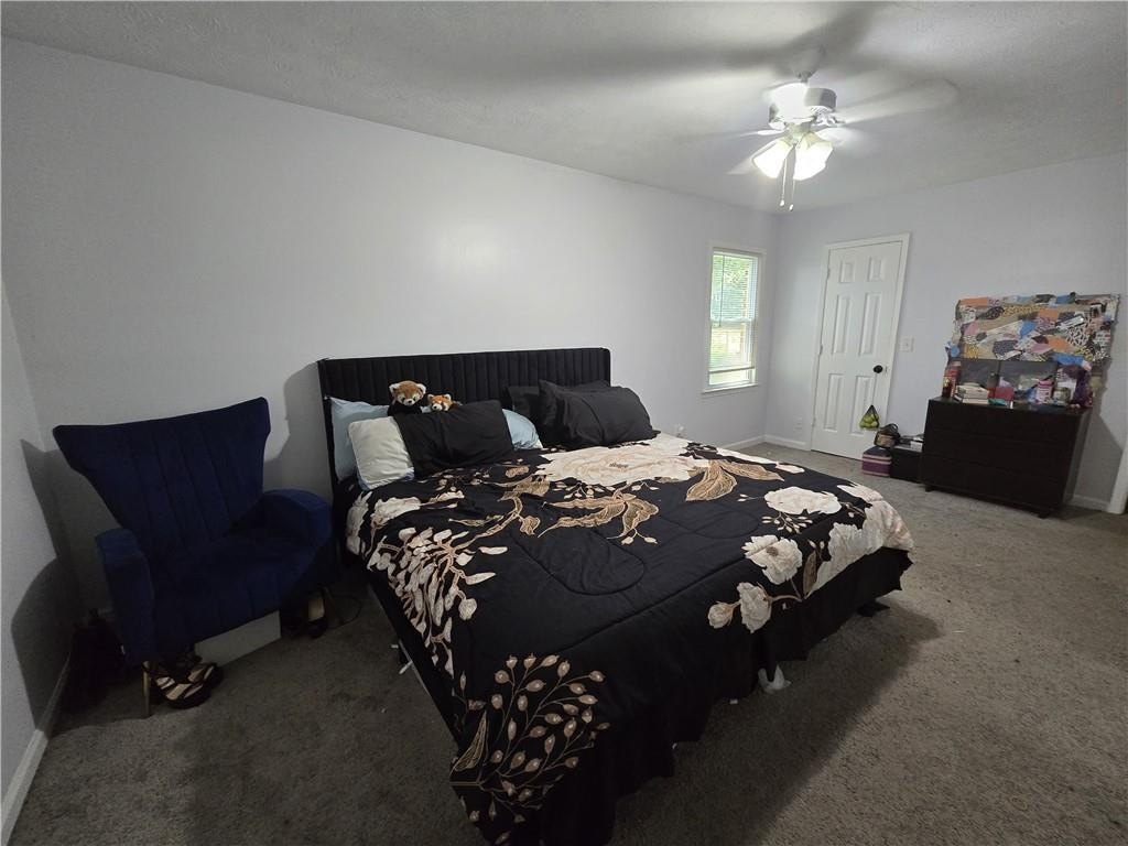 Picture 18