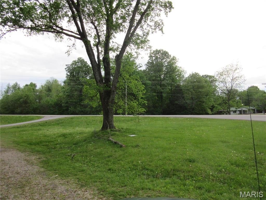 Picture 3