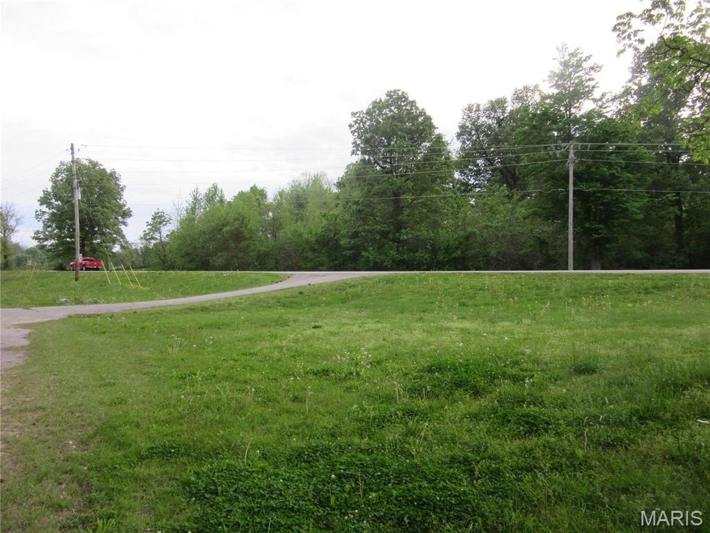 Picture 5