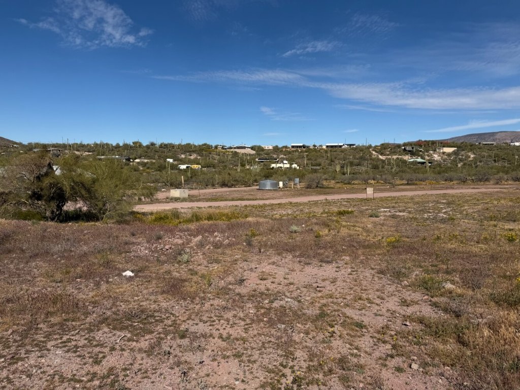 Picture 8